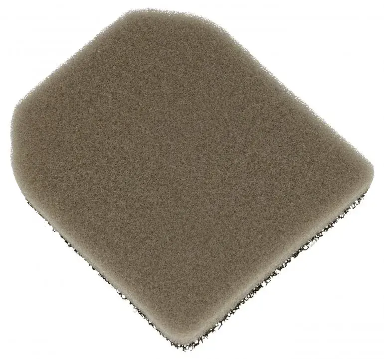 AEG AS52CB21DB Sünger Filtre